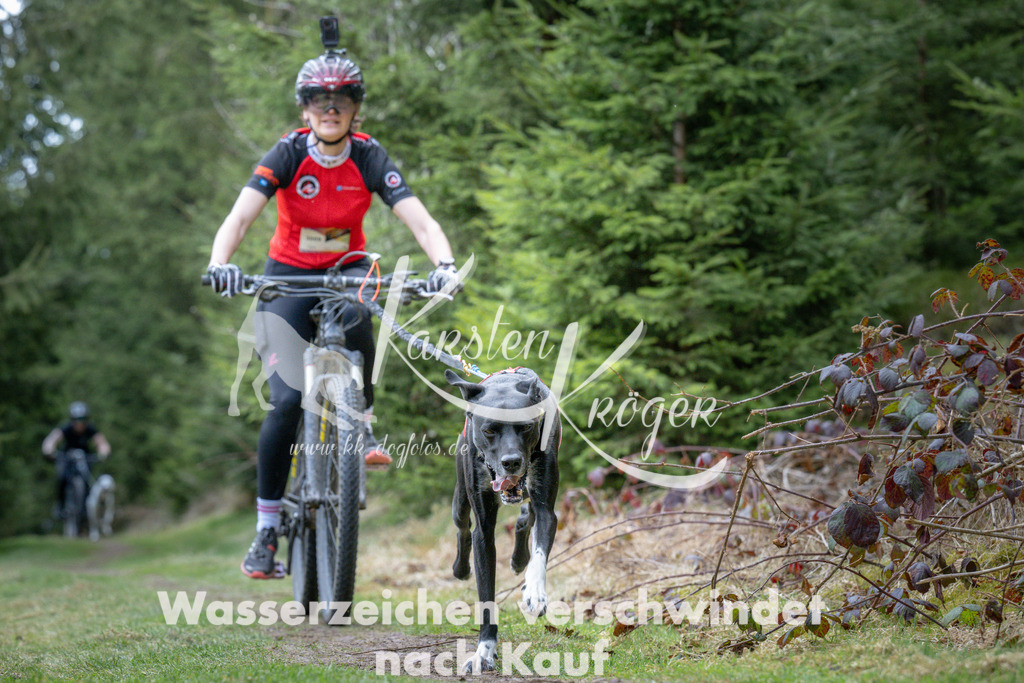 1311_ZZ93898 | kk-dogfotos