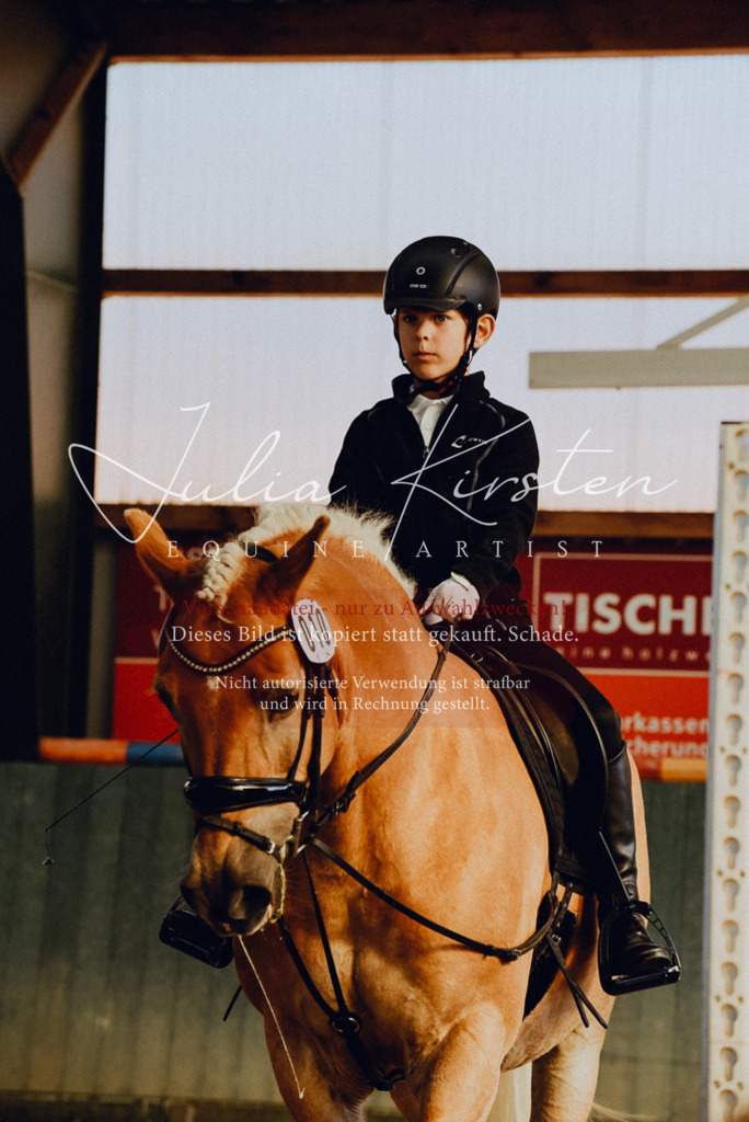 DSC_7366 | Pferde- und Turnierfotografie in Westsachsen. Pferdeportraits, Auftragszeichnungen und intuitive Kunst.
