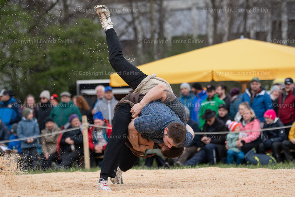 Schwingen -  Rheintal-Oberländer 2024 | Trübbach, 24.3.24, Schwingen - Rheintal-Oberländer.