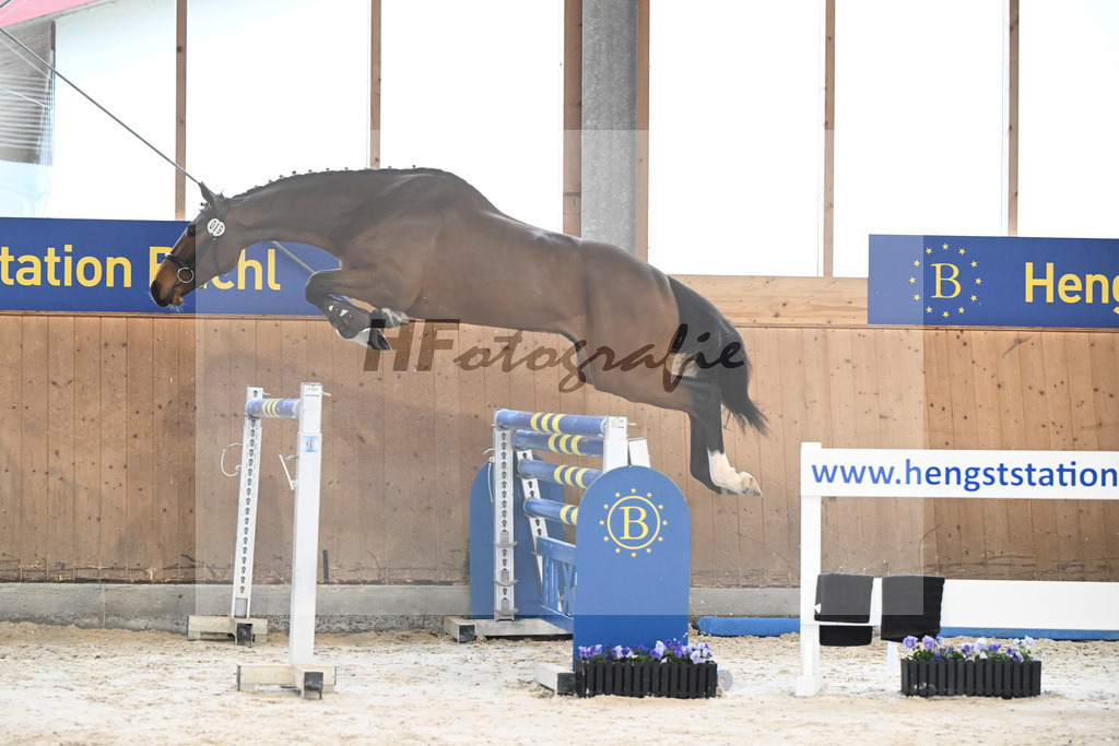 Kat-Nr. 19 Vincero v. Vingino_Pol AG_7240148 | hf-fotografie - Realisiert mit Pictrs.com