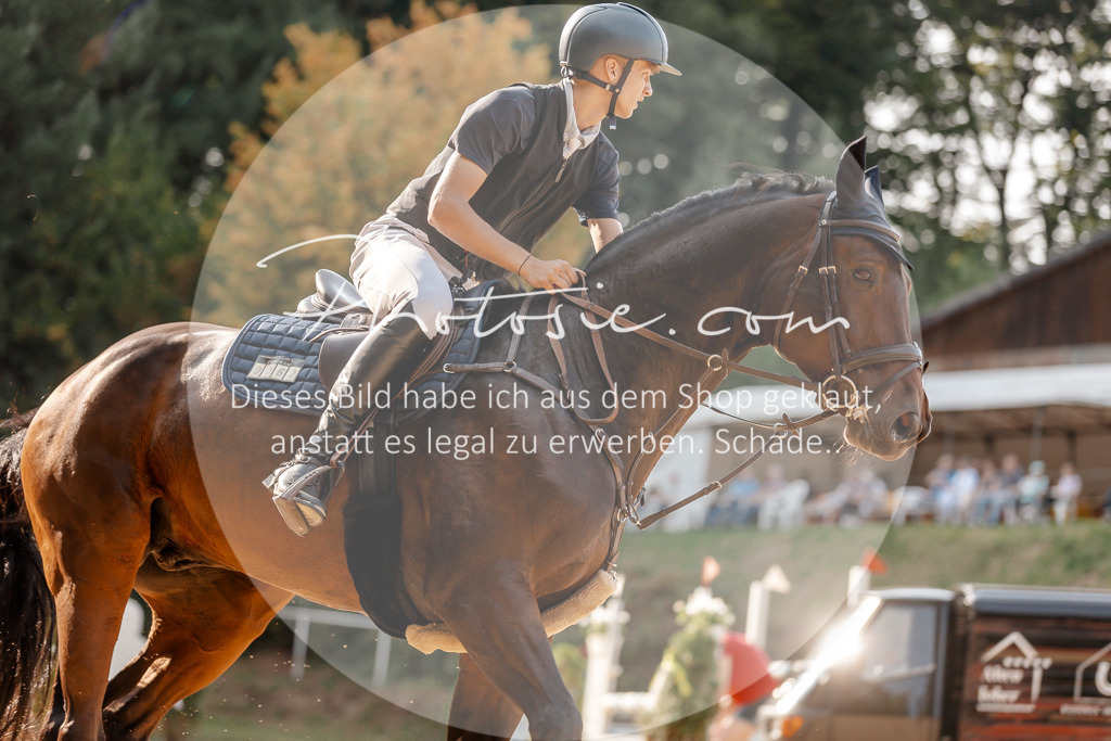 3I6A4998 | Stimmungsvolle Portraits und Reitsportfotografie im Ruhrgebiet und im Münsterland.

Pferdefotografie, Hundefotografie, Tierfotografie, Reportagen, Portraits von Tier und Mensch, Turnierfotografie in Bochum, Recklinghausen, Marl, Haltern am See, Dülmen.. - Realisiert mit Pictrs.com