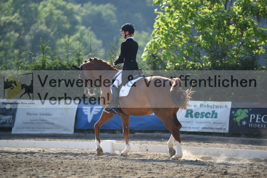 DSC_3155 | equestrian-live-com