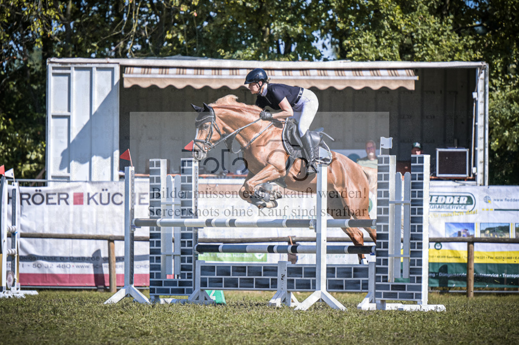 DOS_0439 | Entdecke hochwertige Reitturnierfotos von Foto Oger. Professionell, emotional und authentisch – jetzt Lieblingsmomente im Shop bestellen.Deutschlandweite Turnierfotografie. - Realisiert mit Pictrs.com