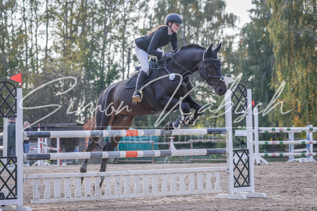 20251012-_3LI5785 | Tierfotografie Pferde, Hunde, Katzen, Haustiere.
Turnierfotografie Reitturniere, Reiten, Springreiten, Dressur in Hanau, dem Main-Kinzig-Kreis und dem Rhein-Main- Gebiet um Frankfurt