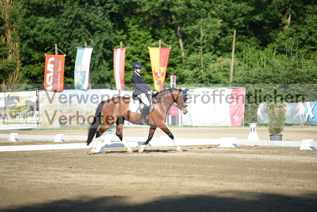 DSC_6846 | equestrian-live-com