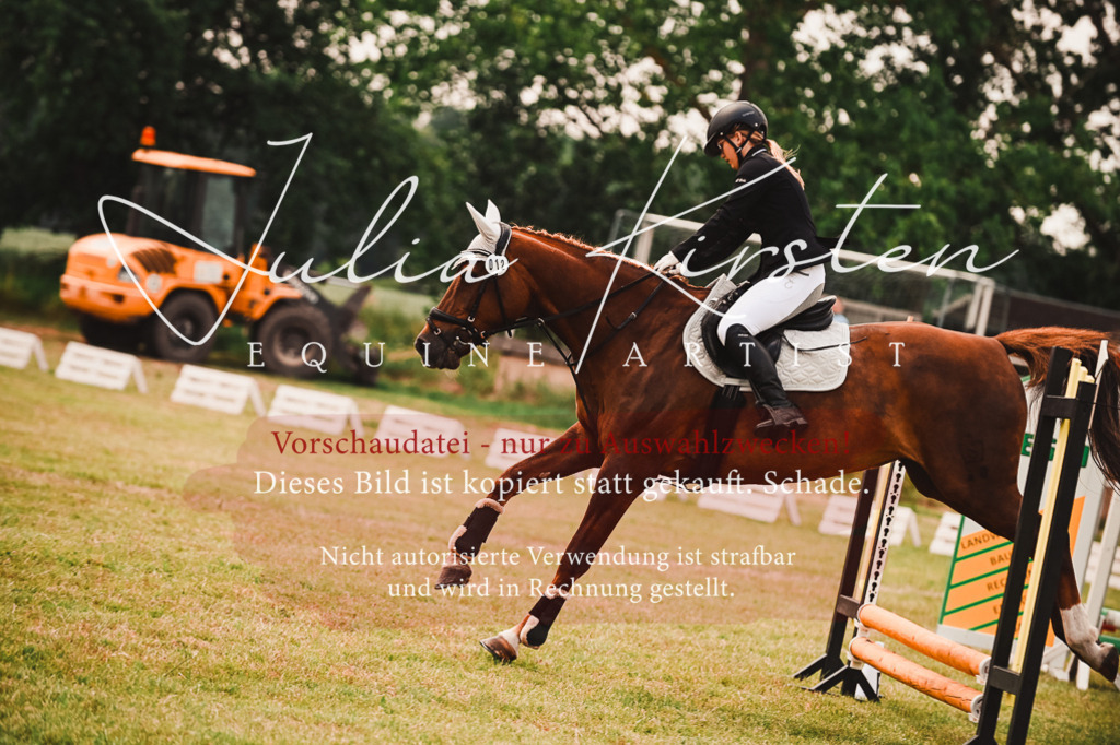 DSC_6869 | Pferde- und Turnierfotografie in Westsachsen. Pferdeportraits, Auftragszeichnungen und intuitive Kunst.