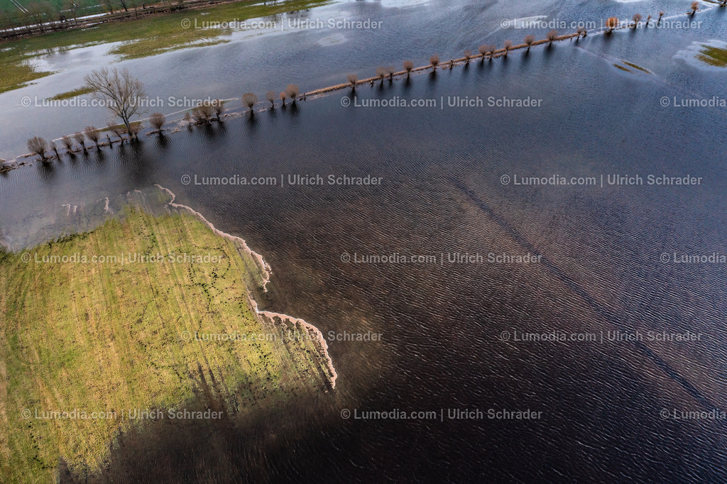 10049-51825 - Hochwasser im Großen Bruch | Stockfoto und Bilderpool mit Bildmaterial aus Deutschland, dem Harz, Halberstadt, Quedlinburg, Wernigerode und weltweit. Qualitativ hochwertige und professionelle Fotos anschauen und kaufen. - Realisiert mit Pictrs.com