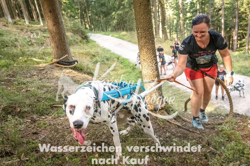 1046_ZZ92239 | kk-dogfotos
