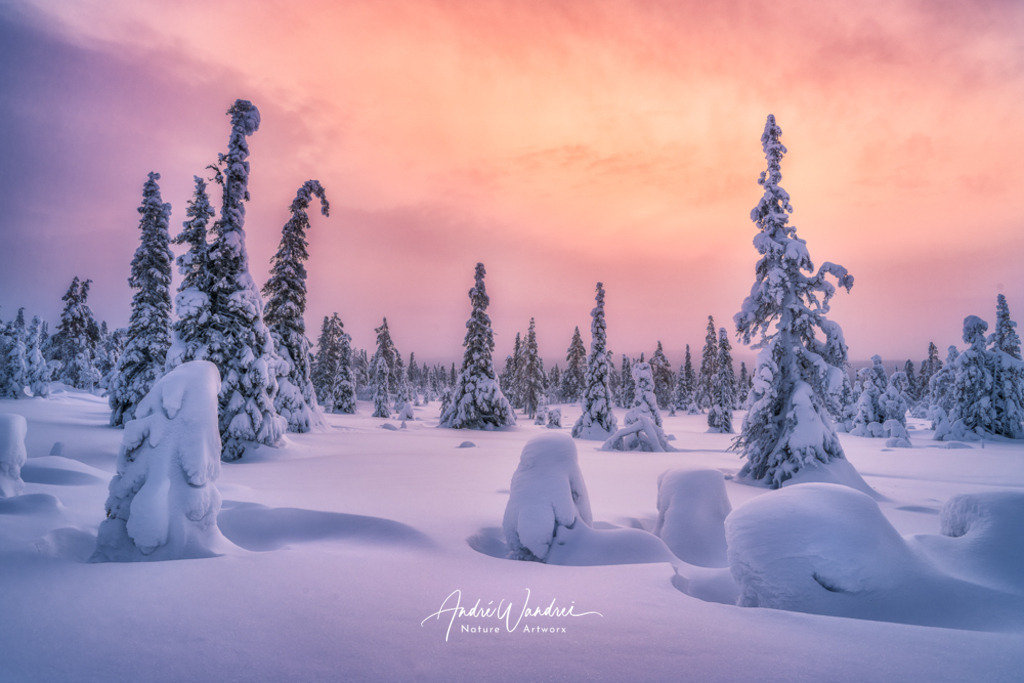 Nordisches Licht | Andre Wandrei - Nature Artworx - Realisiert mit Pictrs.com