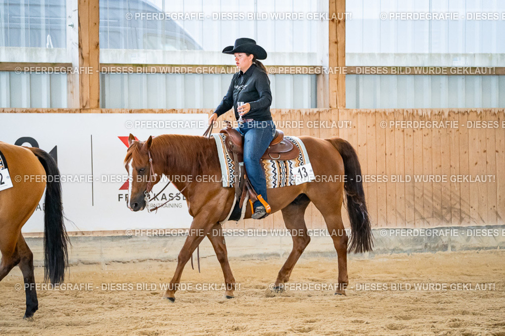 DSC09159 | Pferdegrafie