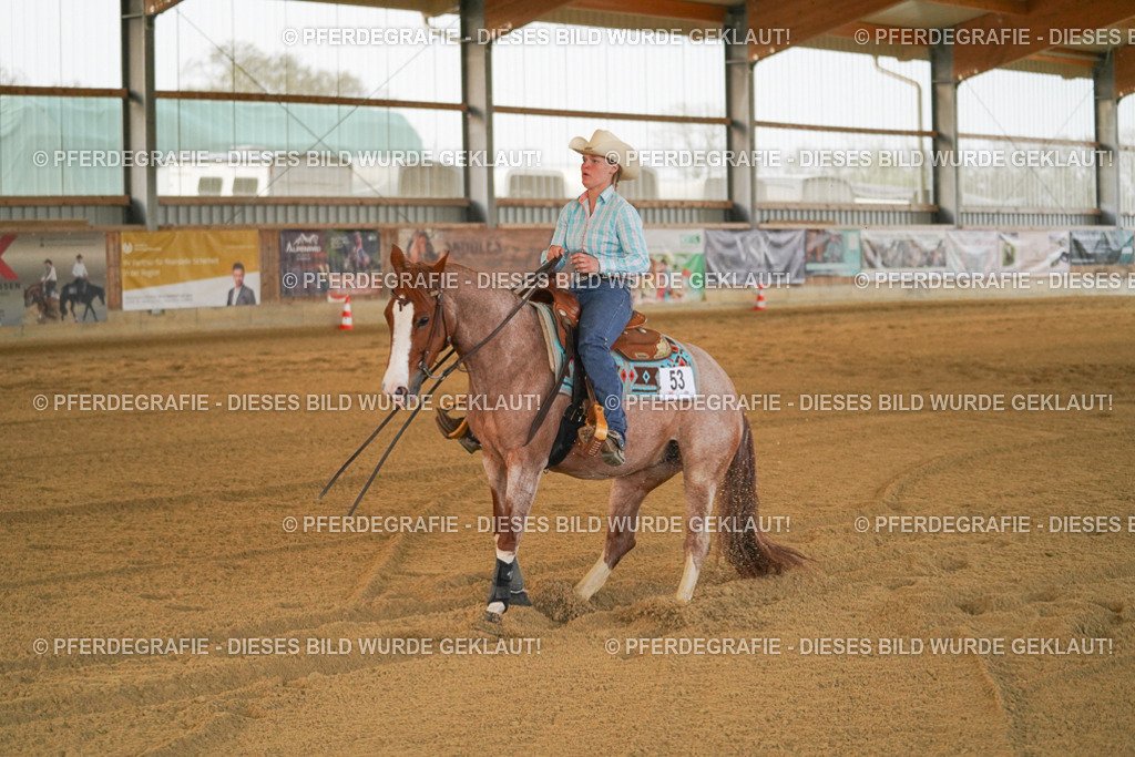 DSC08675 | Pferdegrafie