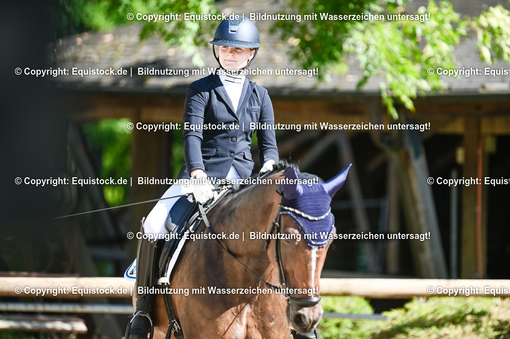 20230908_06_Dressur-L-Trense_0368 | equistock