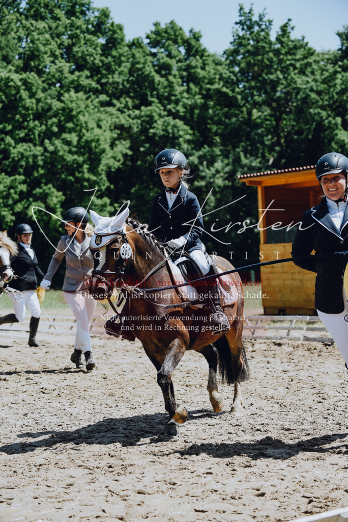 DSC_2360 | Pferde- und Turnierfotografie in Westsachsen. Pferdeportraits, Auftragszeichnungen und intuitive Kunst.