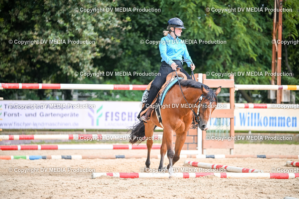 ZS2_3512 | dv-media-shop - Realisiert mit Pictrs.com