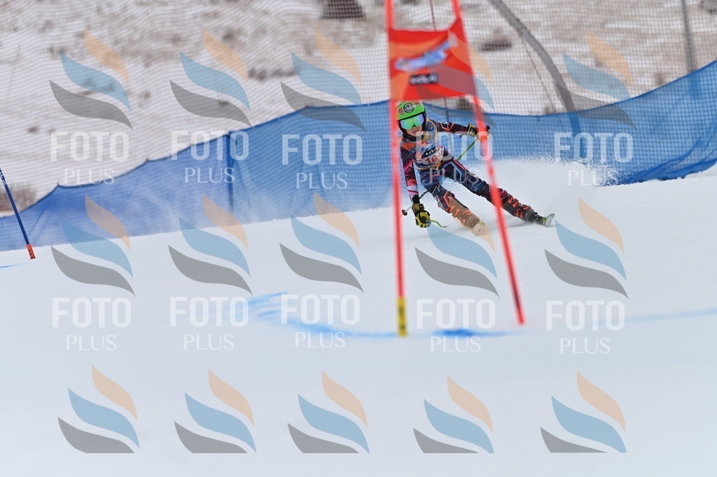 BGV_0337 | holidayphoto