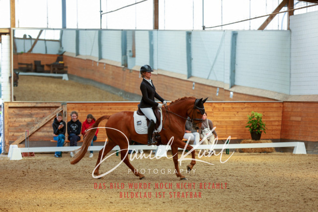 _62_7037 | Turniersportfotografie; Pferdefotografie; Dressurfotografie