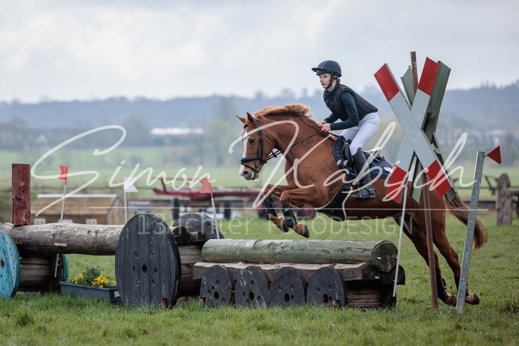 20260329-_3LI4518 | Tierfotografie Pferde, Hunde, Katzen, Haustiere.
Turnierfotografie Reitturniere, Reiten, Springreiten, Dressur in Hanau, dem Main-Kinzig-Kreis und dem Rhein-Main- Gebiet um Frankfurt