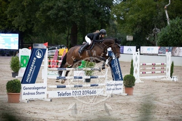 2B4A1808 | pixelfaenger - Realisiert mit Pictrs.com