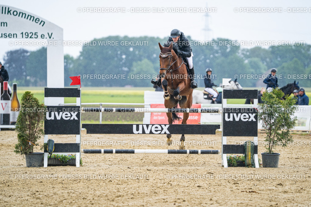 DSC09552 | Pferdegrafie