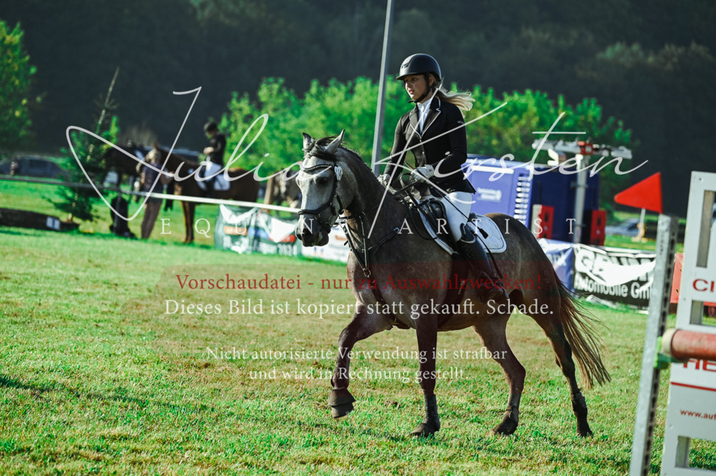 DSC_4468 | Pferde- und Turnierfotografie in Westsachsen. Pferdeportraits, Auftragszeichnungen und intuitive Kunst.