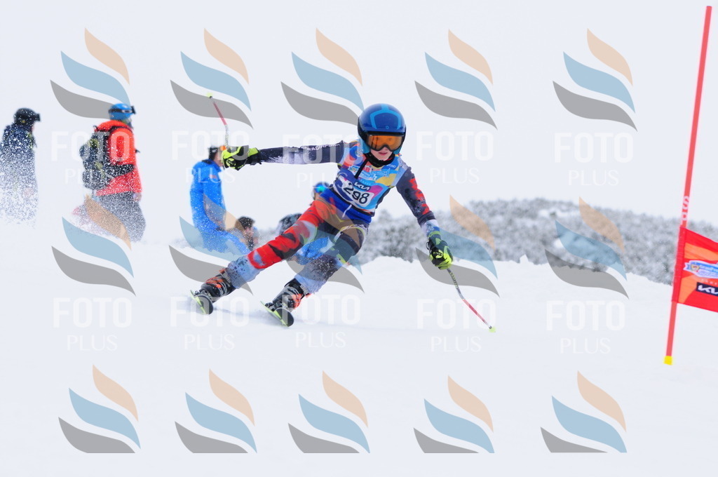 C3150 | holidayphoto