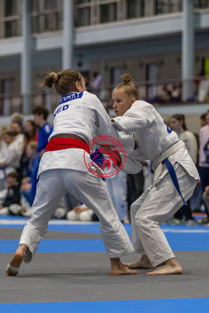 Internationaler Adler Cup 2024 | Foto vom Internationalen Adler Cup Judo Turnier im Sport- und Freizeitzentrum Kalbach im Oktober 2024 - Realisiert mit Pictrs.com