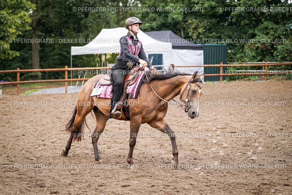 DSC02534 | Pferdegrafie