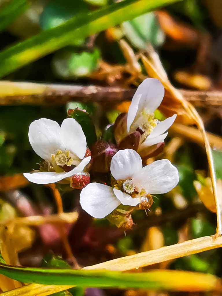 PSX_20230223_230830 | mtkfoto_ - Realisiert mit Pictrs.com