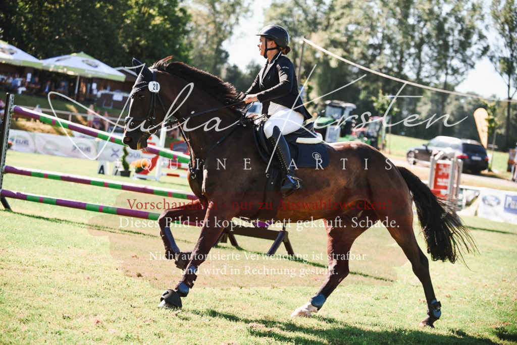 DSC_2514 | Pferde- und Turnierfotografie in Westsachsen. Pferdeportraits, Auftragszeichnungen und intuitive Kunst.