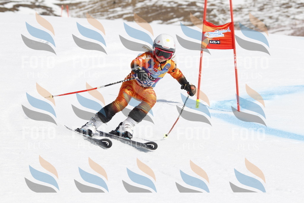 _U3G1327 | holidayphoto