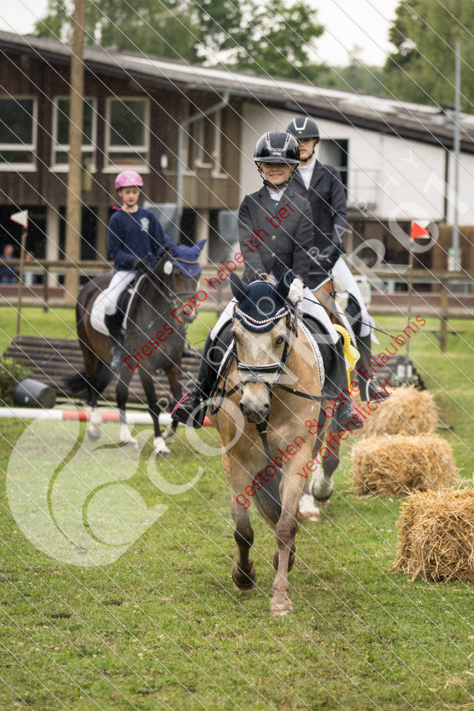 IMG_7966 | Sport-, Event- und Tierfotos in Profiqualität. Einfach auswählen, bestellen und herunterladen. Dein Moment – perfekt festgehalten.