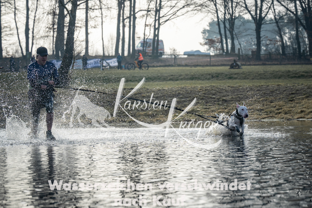 0850_ZZ98677 | kk-dogfotos