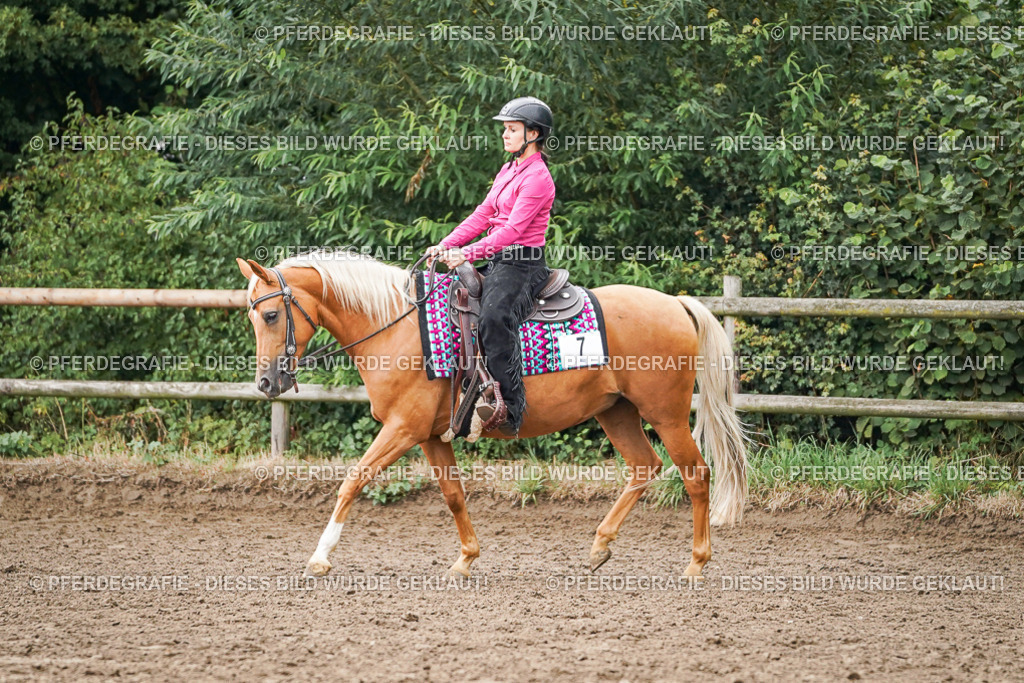 DSC03801 | Pferdegrafie