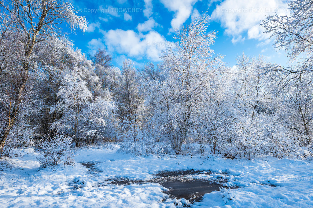 _1028093 | thowehey - Realisiert mit Pictrs.com