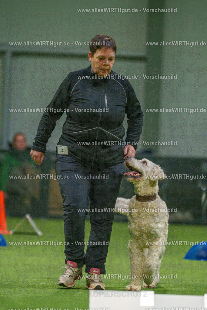 7R504309 | Professionelle Tierfotografie in Mönchengladbach von Daniel Wirth (allesWIRTHgut). Liebevolle & natürliche Bilder von Hunden & Katzen für unvergessliche Erinnerungen.