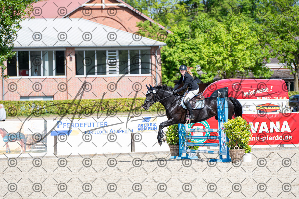 KPT_4945 | andre_photographic