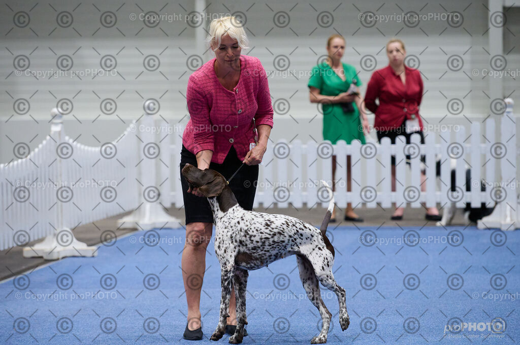 202406_ÖKV-IHA-Tulln24_DSC_3378 | proPHOTO - Realisiert mit Pictrs.com