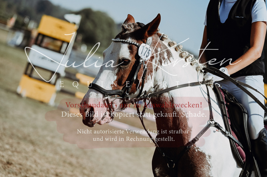 DSC_9819 | Pferde- und Turnierfotografie in Westsachsen. Pferdeportraits, Auftragszeichnungen und intuitive Kunst.