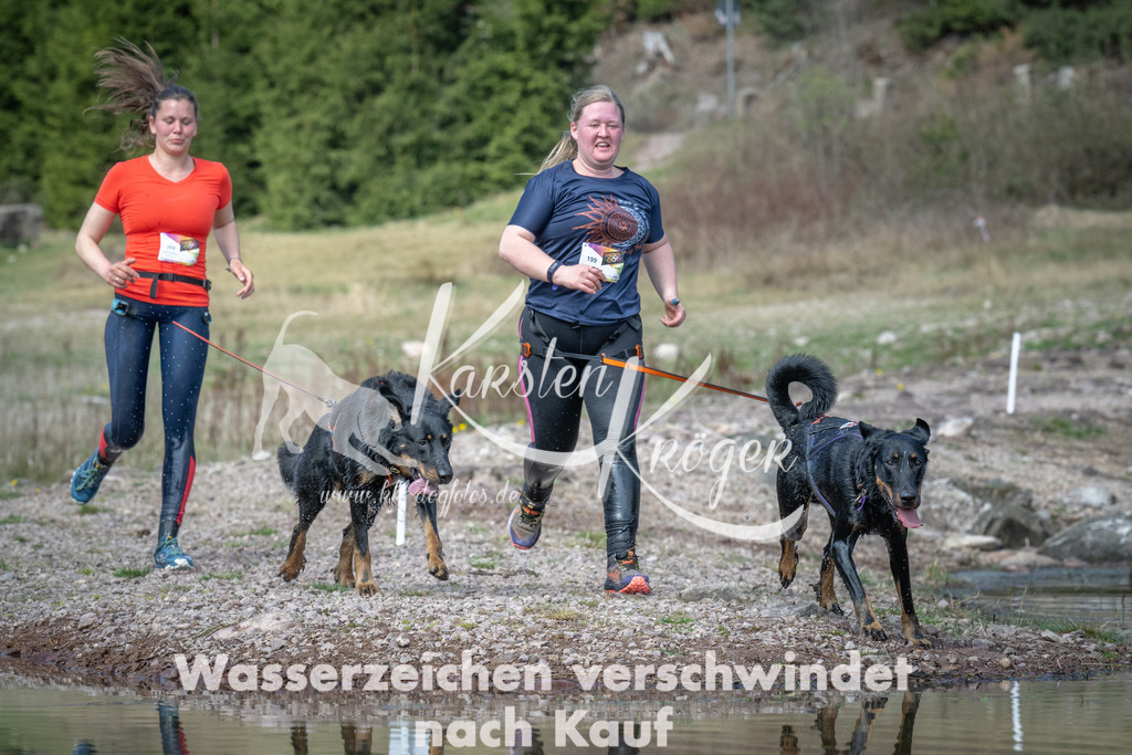 1114_ZZ93387 | kk-dogfotos