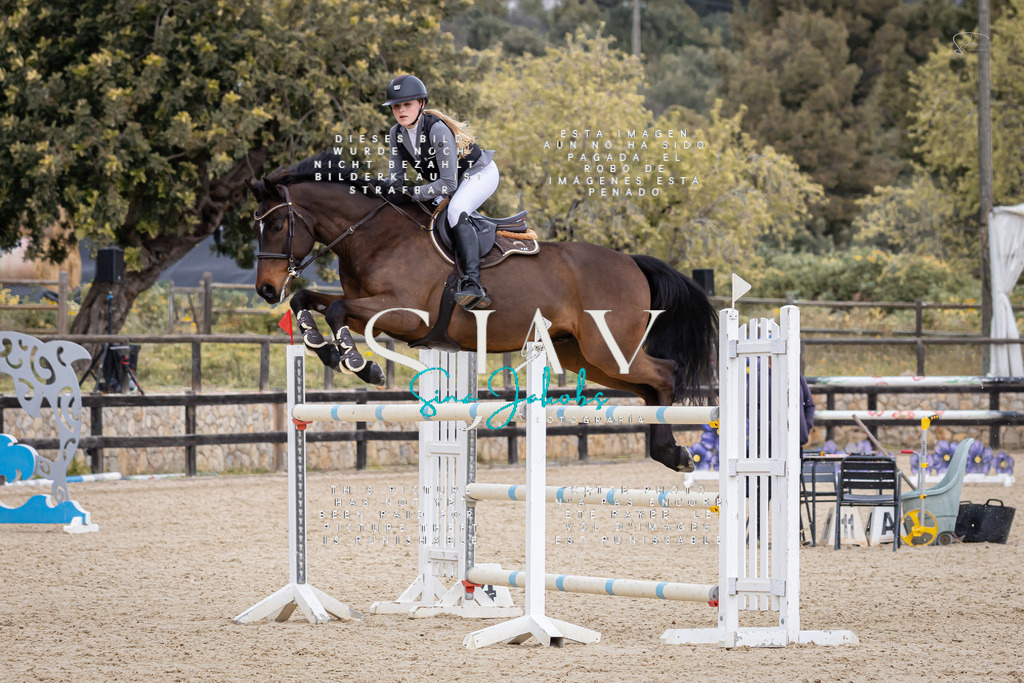 IMG_5189 | s-jay-photography - Realisiert mit Pictrs.com