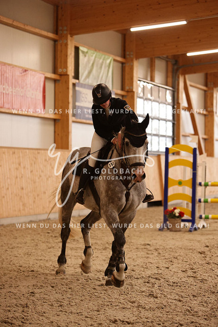 1J2A4237Alina Maack_ Karat du Scal__ Kn302_ Hohen Wieschendorf_ Glantz | Foto- und Videografie für alles rund ums Pferd. Hochwertige Bilder und Videos vom Spring- und Dressurreiten, Voltigieren & mehr. Jetzt aktuelle Veranstaltungen und Preise im Shop ansehen. - Realisiert mit Pictrs.com