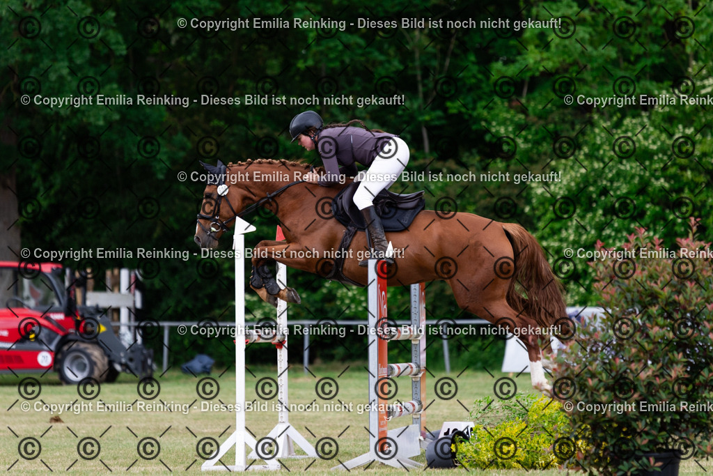 CL5A6536 | Emilia Reinking Fotografie - Realisiert mit Pictrs.com