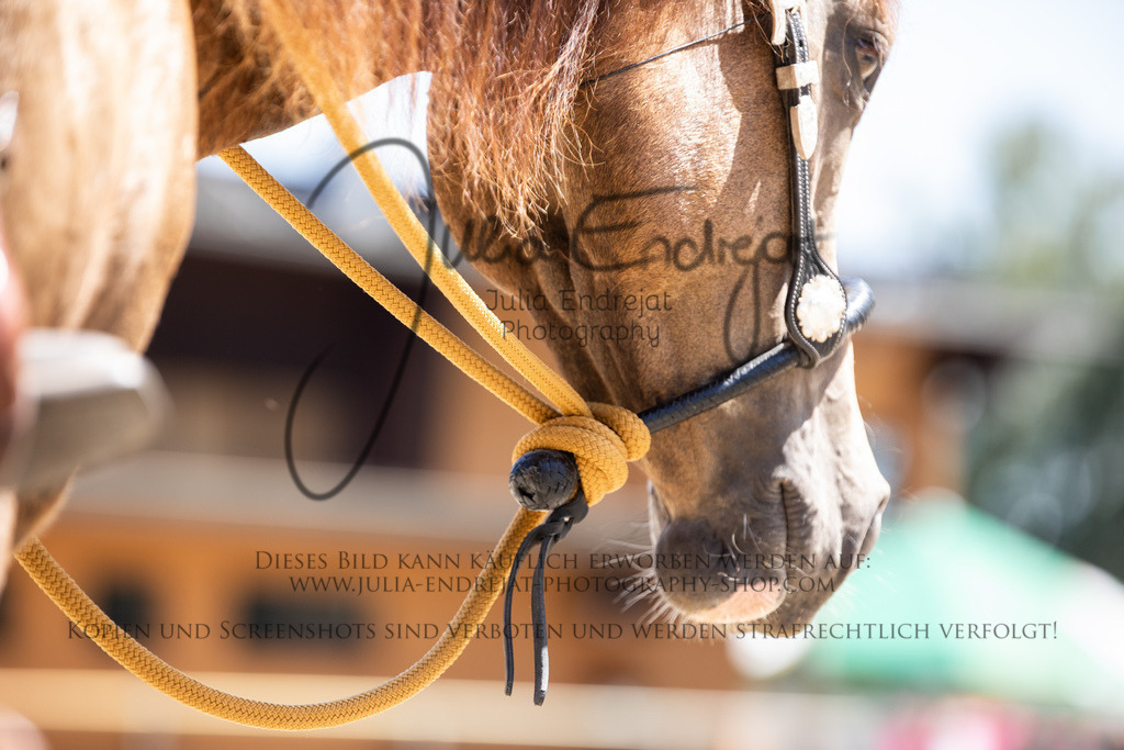 20220623-JuliaEndrejatPhotography-0298-2 | Julia Endrejat Photography