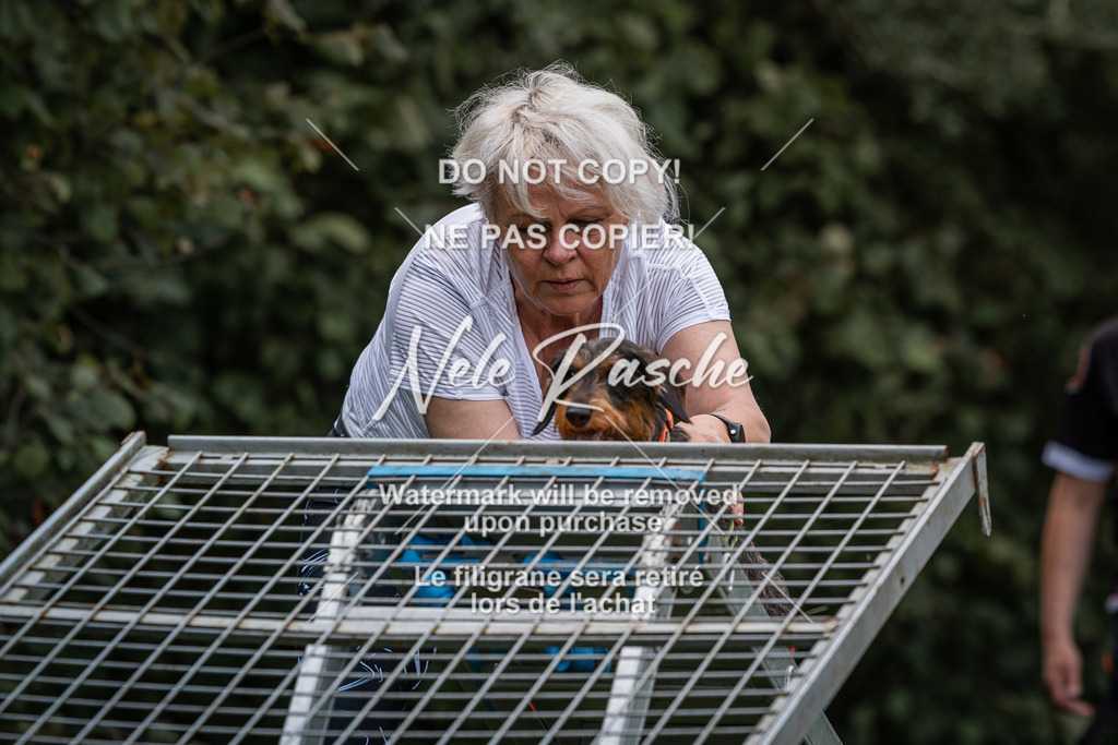 nelerasche_SoLauf_56 | nelerasche