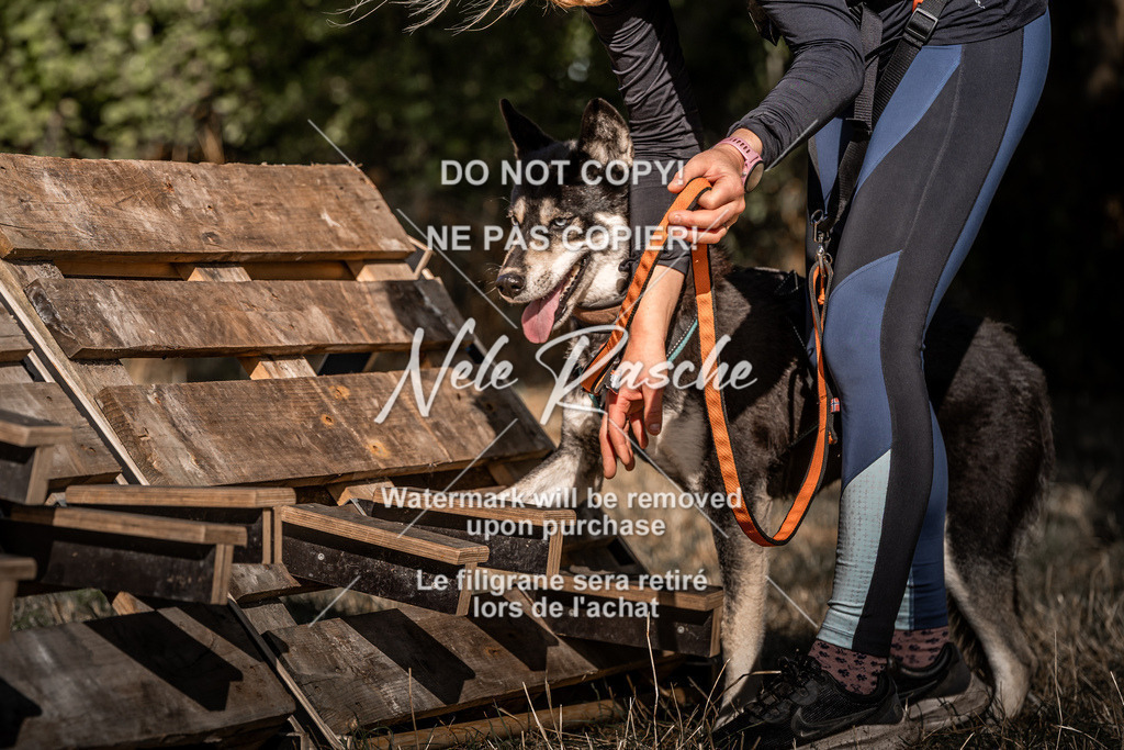 nelerasche_slaw24So_170 | nelerasche