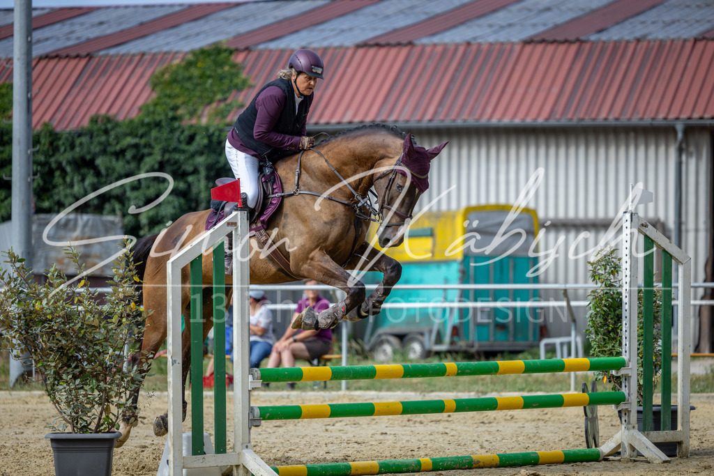 20260704-_3LI6738 | Tierfotografie Pferde, Hunde, Katzen, Haustiere.
Turnierfotografie Reitturniere, Reiten, Springreiten, Dressur in Hanau, dem Main-Kinzig-Kreis und dem Rhein-Main- Gebiet um Frankfurt