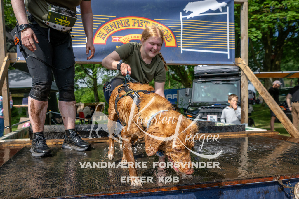 0907_ZZ93578 | kk-dogfotos