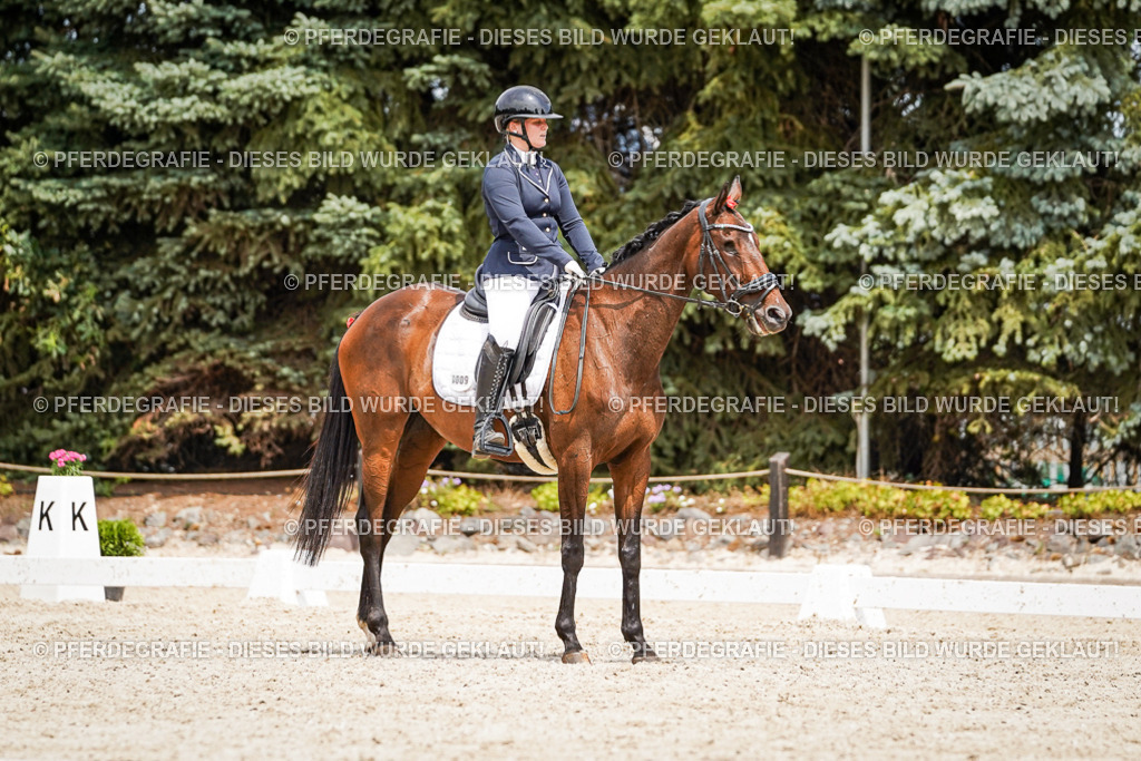 DSC03921 | Pferdegrafie