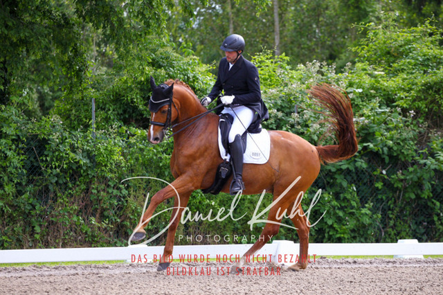 DKP41290 | Turnierfotos kaufen im Webshop von Daniel Kuhl Photography – entdecke professionelle Reitsportfotos aus Turnieren & Events. Hochwertige Turnierbilder online bestellen & sichern. Jetzt Fotos von Reitsportturnieren kaufen!