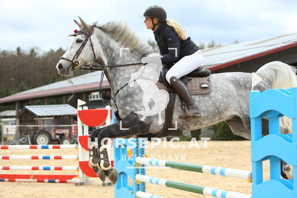 DL2Q2560 | Willkommen bei Brunnmayr - Design & Fotografie – Ihrem Spezialisten für Reitturniere und Pferdeveranstaltungen in Oberösterreich, Salzburg und Bayern! Seit über 17 Jahren sind wir leidenschaftlich dabei.